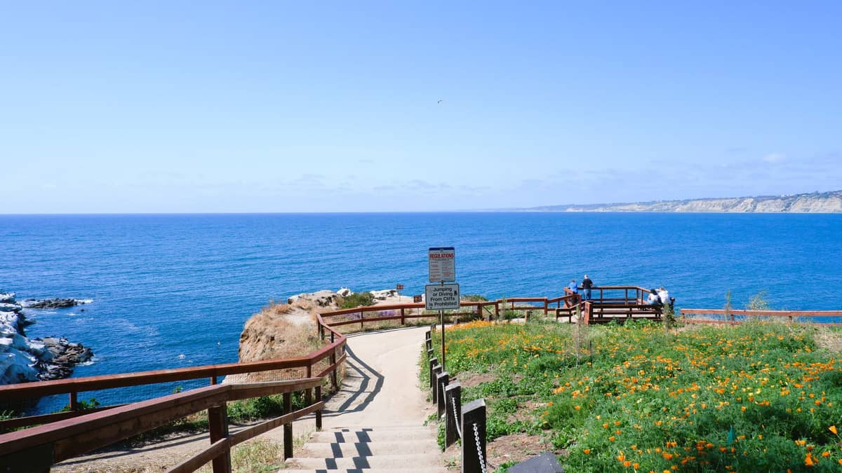 Ein breiter gepflasterter Weg mit Geländer führt hinab zu dramatischen Sandsteinklippen und dem Meer an der La Jolla Cove – Wildblumen blühen am Wegesrand und Menschen genießen den Küstenblick.