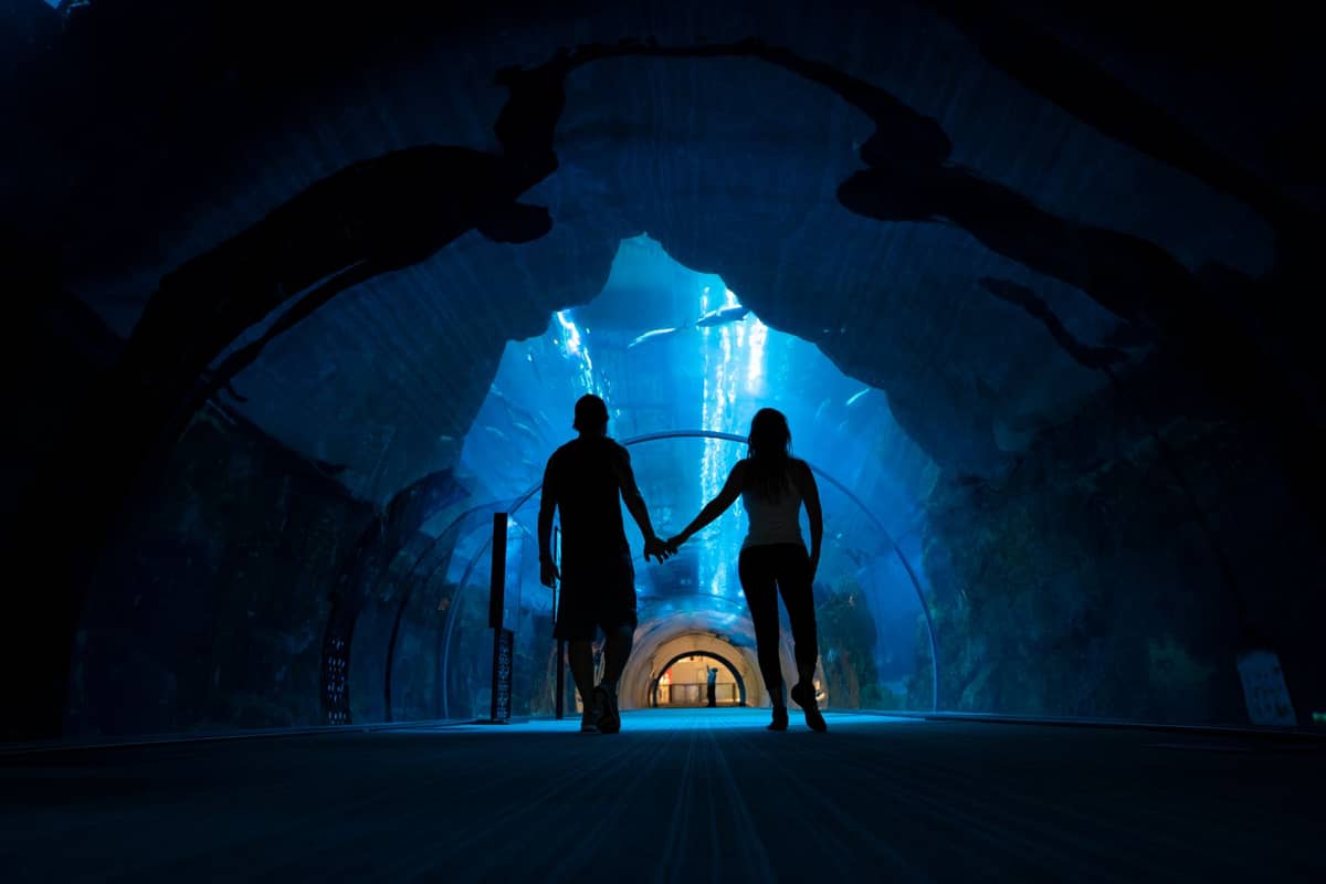 Silhouetten zweier Personen, die durch einen Unterwassertunnel in einem großen modernen Aquarium gehen, umgeben von blauem Wasser und Meereslebewesen über ihnen.