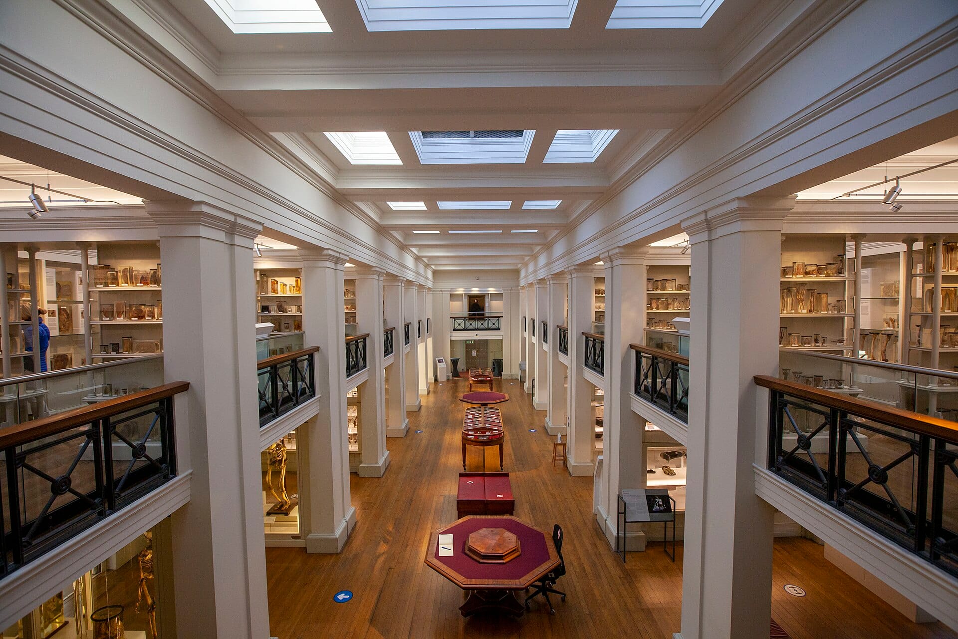 Helles Inneres des Surgeons' Hall Museums, Edinburgh, mit medizinischen Exponaten, Glasvitrinen und weißen Säulen unter einem Oberlichtdach.