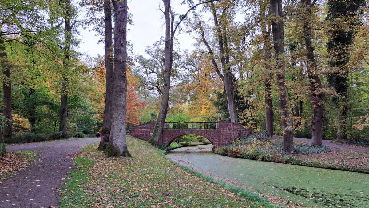 A leafy park path in autumn with a distinctive arched brick bridge over a canal, surrounded by tall trees in Ghent's Citadelpark.