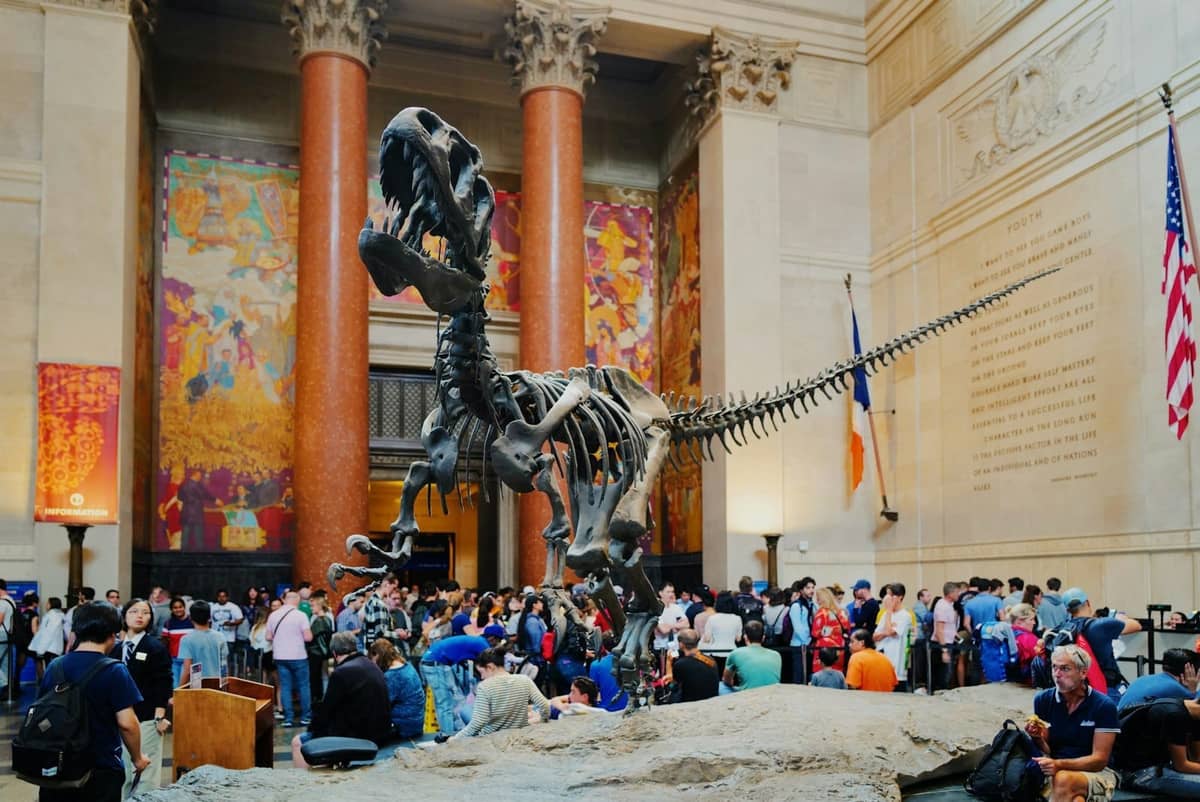 Überfüllter Museumssaal in New York City mit einem großen Dinosaurierskelett als Ausstellungsstück und amerikanischen Flaggen im Hintergrund