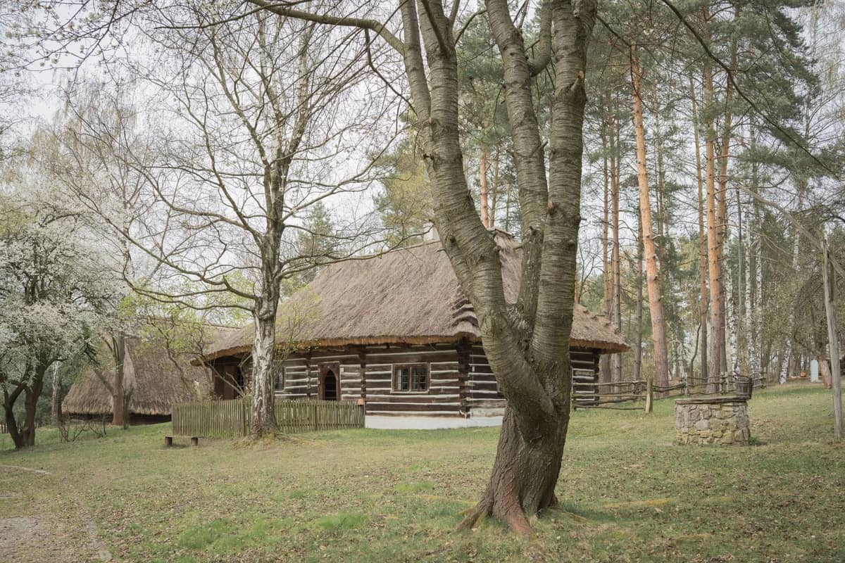 Traditionelles Holzhaus mit Strohdach in einem bewaldeten Freilichtmuseum, umgeben von Bäumen und einer Rasenfläche.