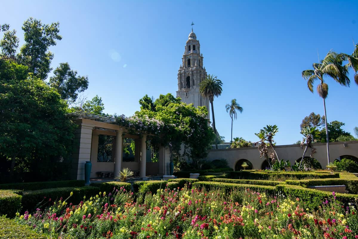 วิวของ California Tower ในสวนสาธารณะ Balboa Park ที่ตั้งตระหง่านอยู่เบื้องหลังแปลงดอกไม้และต้นไม้เขียวขจีใต้ท้องฟ้าสีฟ้าใส
