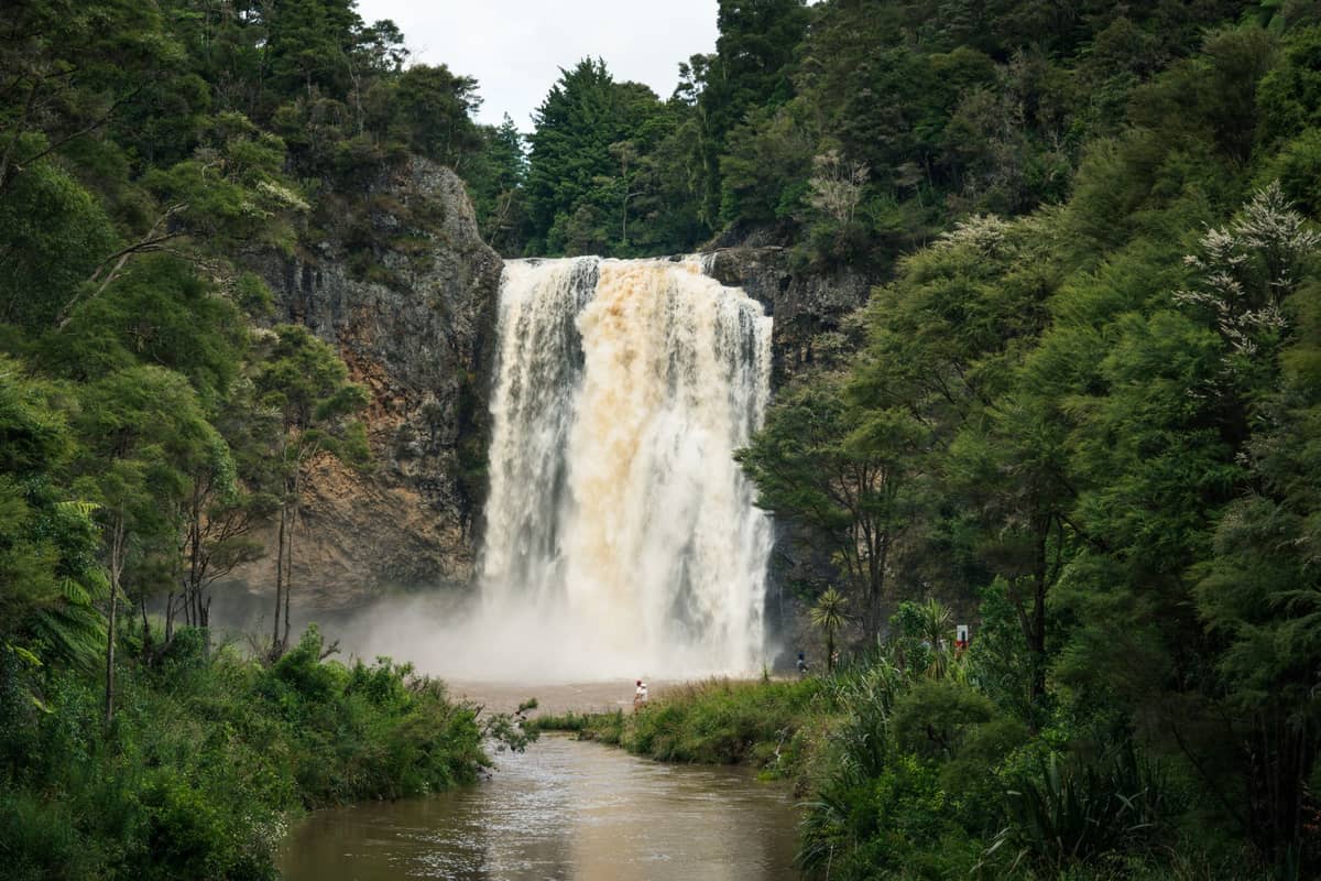 Grande cascade traversant une dense forêt indigène, des falaises rocheuses et une végétation luxuriante typique des Waitākere Ranges d'Auckland.
