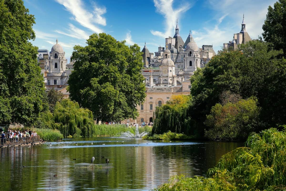 Vista sobre um lago num parque de Londres com patos, vegetação e grandes edifícios históricos ao fundo.
