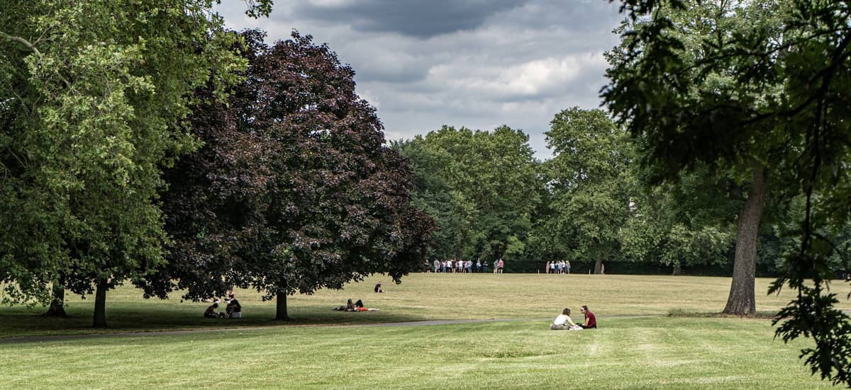 Ampla área gramada em um parque com pessoas descansando sob grandes árvores frondosas em um espaço verde aberto, sob um céu nublado.