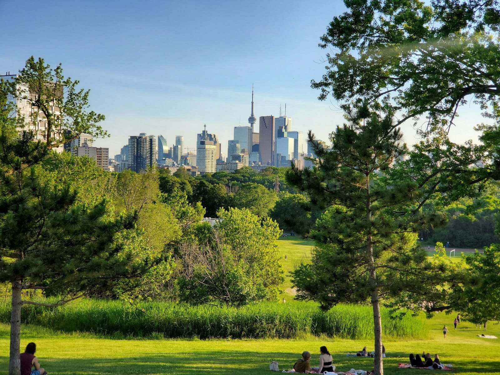 Vista ampla de um parque verde com pessoas relaxando na grama, árvores emoldurando o skyline de Toronto e a CN Tower ao fundo num dia ensolarado.