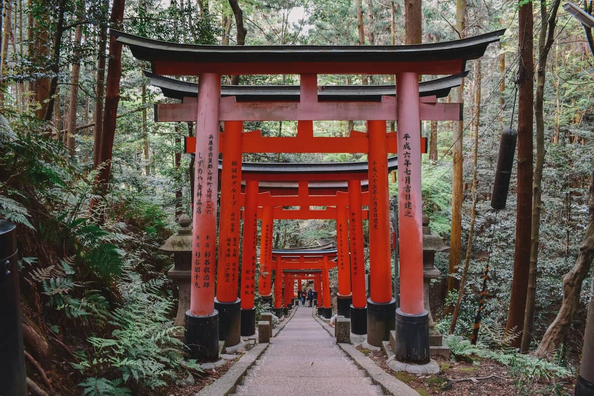 Red torii gates forming a trail through a lush forested mountain path at a Kyoto shrine, surrounded by tall trees and greenery.