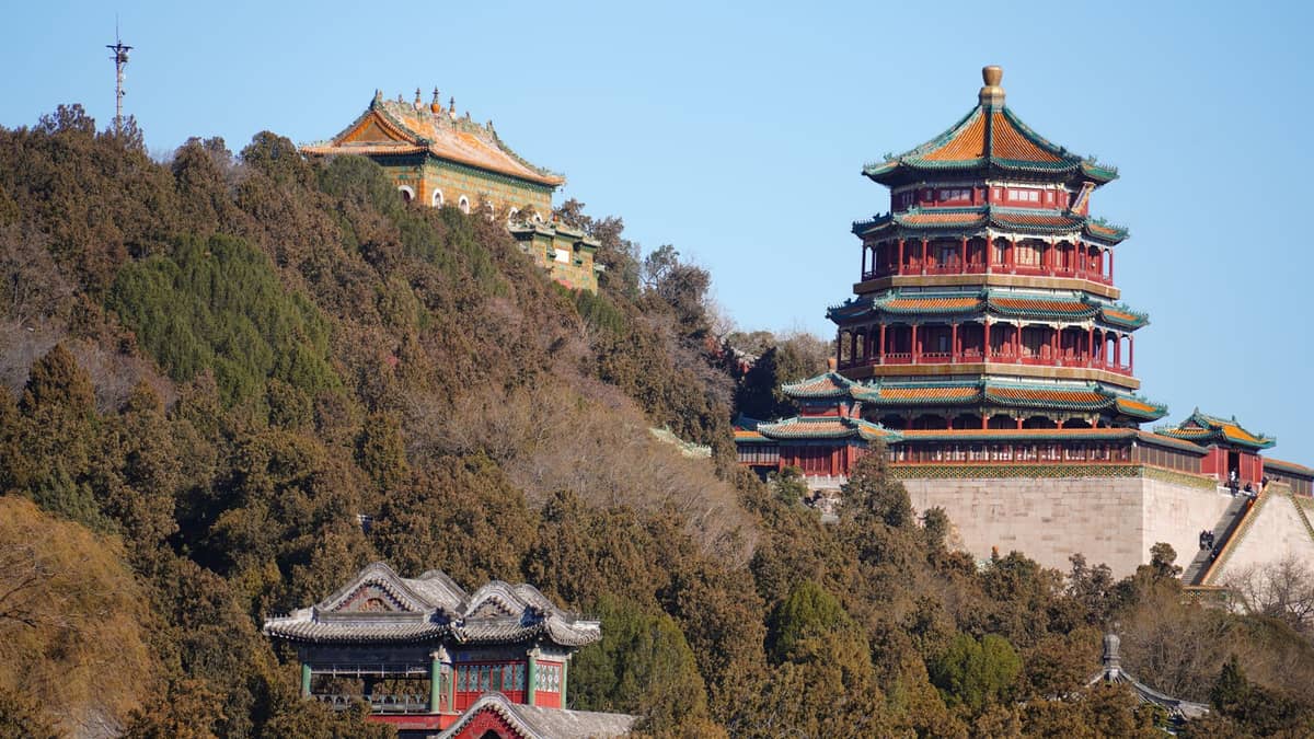 Edificios clásicos de templos chinos en una exuberante ladera rodeada de árboles, con tejados ornamentados y paisaje natural de parque, bajo la luz del día.
