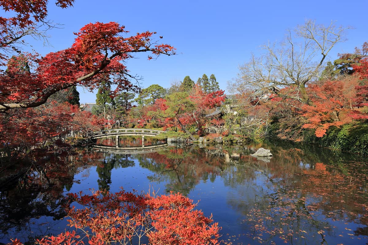 Japanese temple garden in Kyoto with red autumn foliage, a reflective pond, and a traditional stone bridge under blue sky.