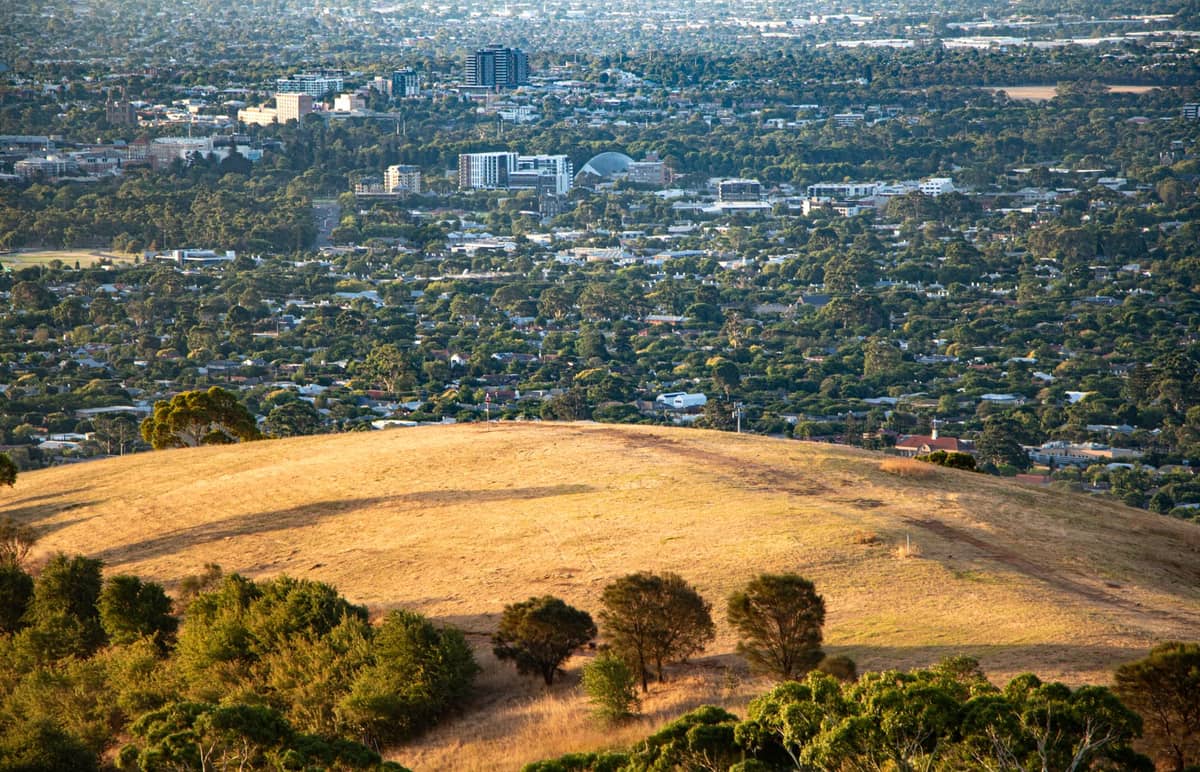 Golden grassy hill in foreground with expansive view over Adelaide city and distant suburbs under clear sky.