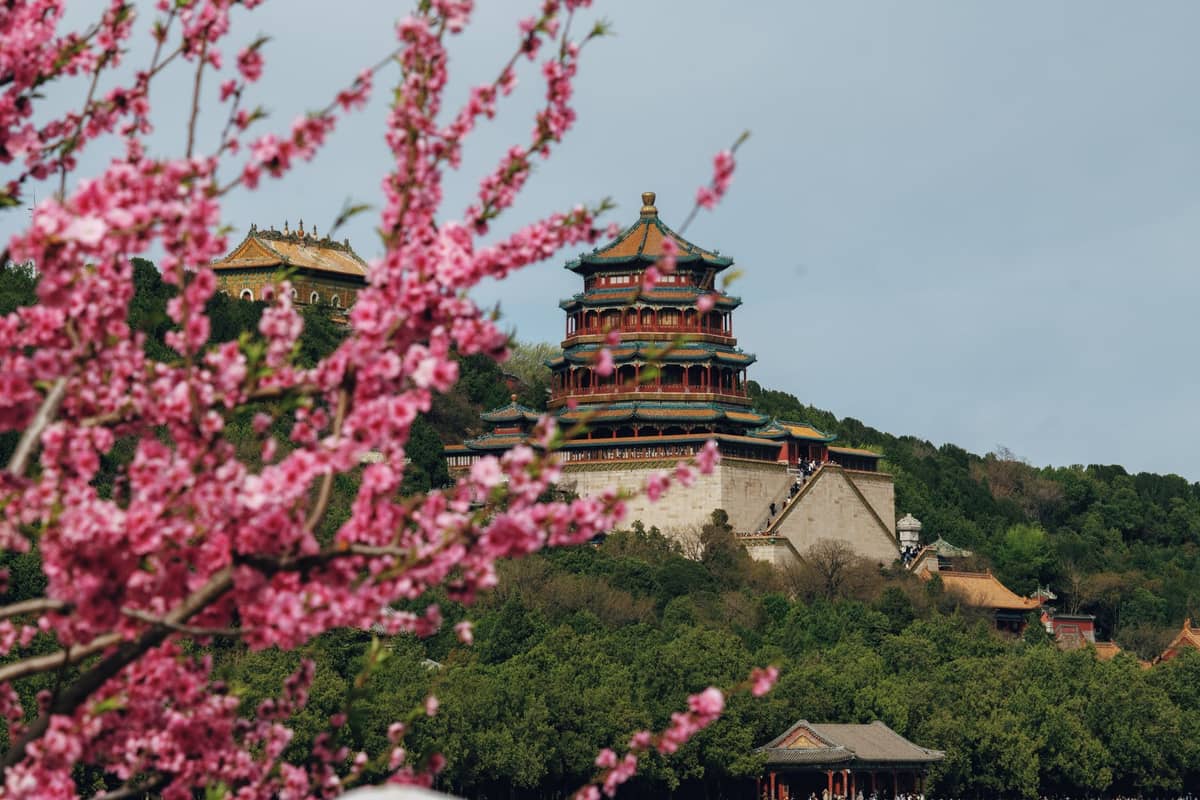 Printemps au Palais d'Été à Beijing, avec des fleurs roses en fleur au premier plan et un bâtiment iconique du palais sur une colline.
