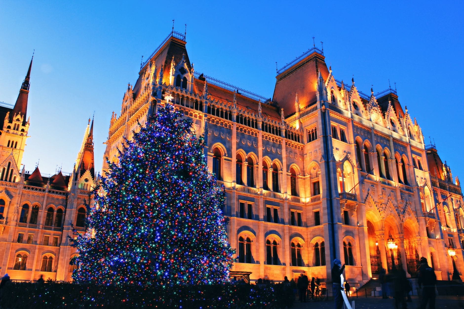 Hungarian Parliament building with large Christmas tree lit up at dusk, festive winter scene in Budapest