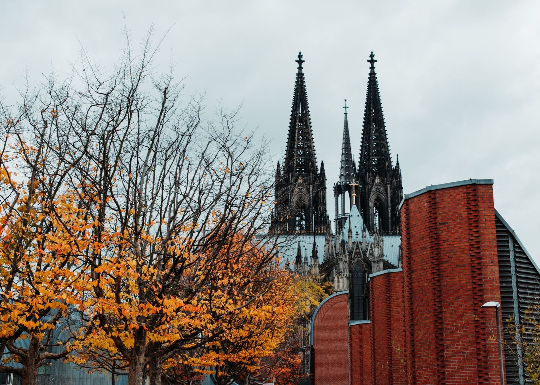 มหาวิหาร Cologne ตระหง่านเหนือต้นไม้ในฤดูใบไม้ร่วงที่มีใบสีส้มและอาคารอิฐแดงสมัยใหม่ใต้ท้องฟ้าที่มีเมฆปกคลุม