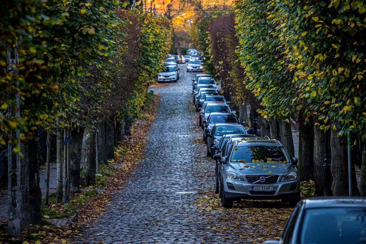 Rue pavée à Copenhague bordée de voitures garées et d'arbres aux feuilles jaunes et oranges, évoquant une atmosphère automnale tranquille.