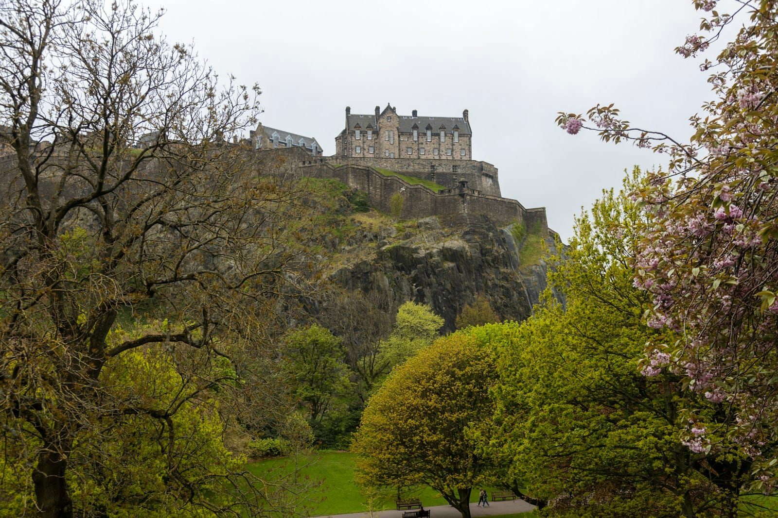 Le château d'Édimbourg vu depuis un parc au printemps avec des arbres bourgeonnants et quelques cerisiers en fleurs au premier plan.