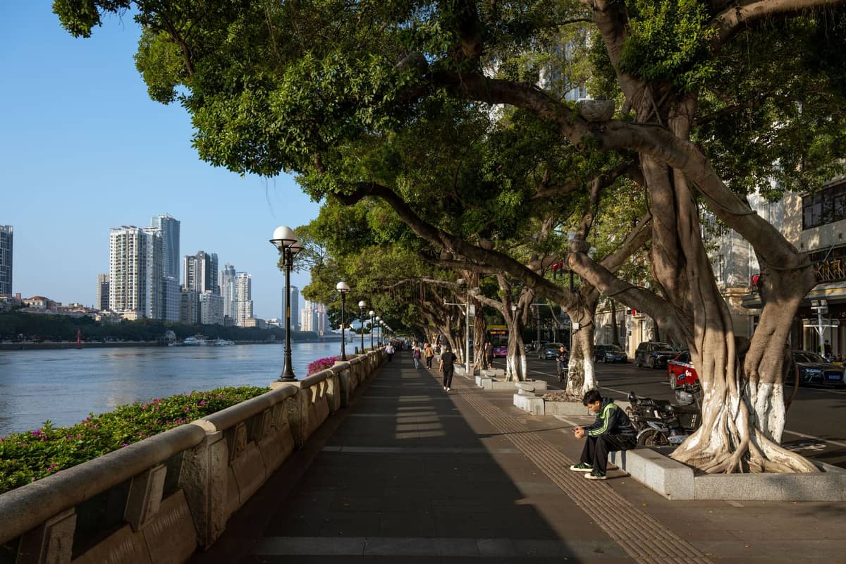 Tree-lined riverfront promenade in Guangzhou with people walking, city buildings, and Pearl River visible under clear blue autumn sky