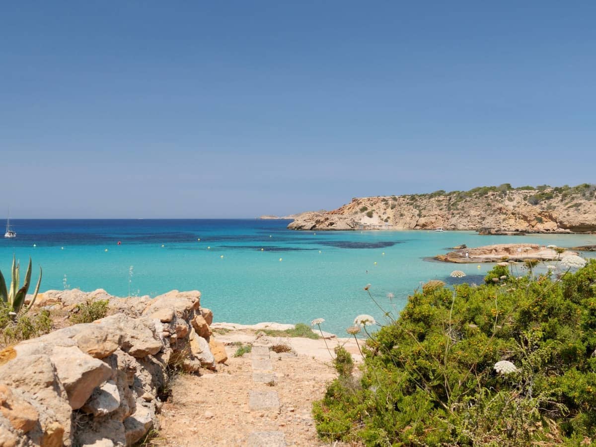 Sunny Ibiza beach with turquoise water, rocky coastline, green shrubs, and distant cliffs under a clear blue sky