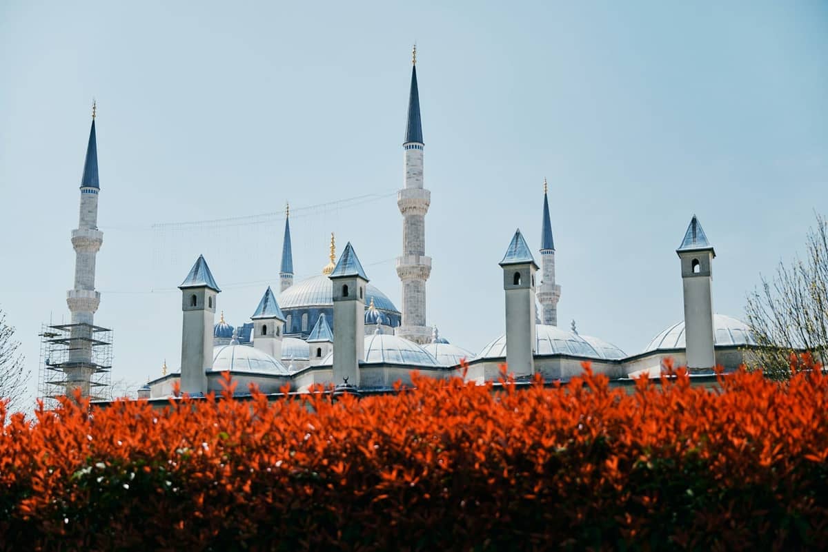 Una famosa moschea di Istanbul con cupole blu e alti minareti, incorniciata da un vivace fogliame autunnale rossastro e un cielo sereno.