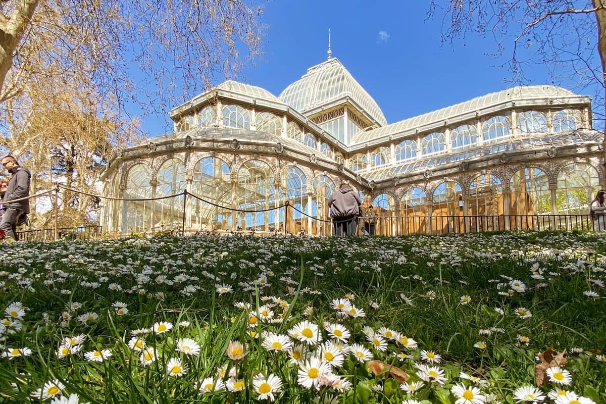 Vista primaverile del Palacio de Cristal di Madrid con erba verde e margherite in fiore in primo piano sotto un cielo azzurro limpido.