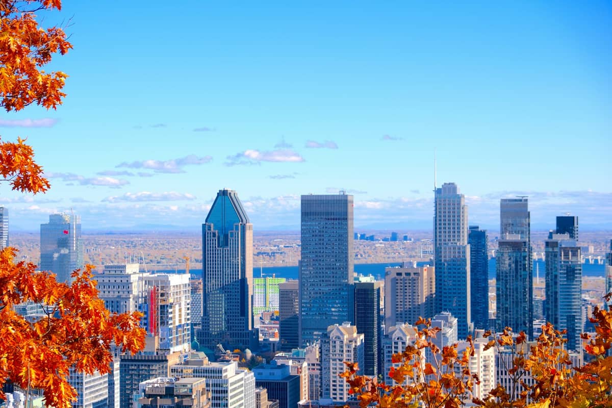 Die Skyline der Innenstadt von Montreal, eingerahmt von orangefarbenem Herbstlaub und einem strahlend klaren Himmel, der die Herbstfarben der Stadt zeigt.