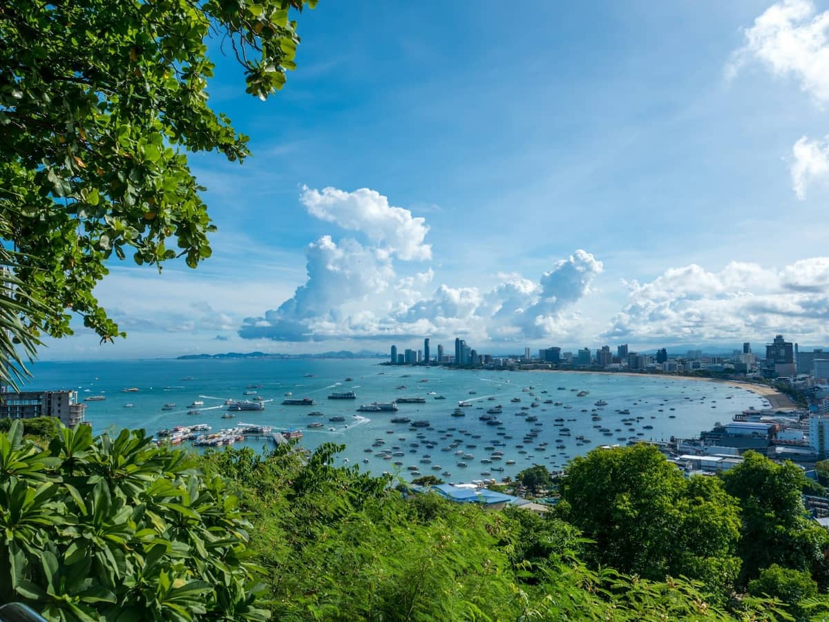 Wide-angle view of Pattaya Bay with blue skies, many boats on the water, green foreground foliage, and the city skyline in the distance.