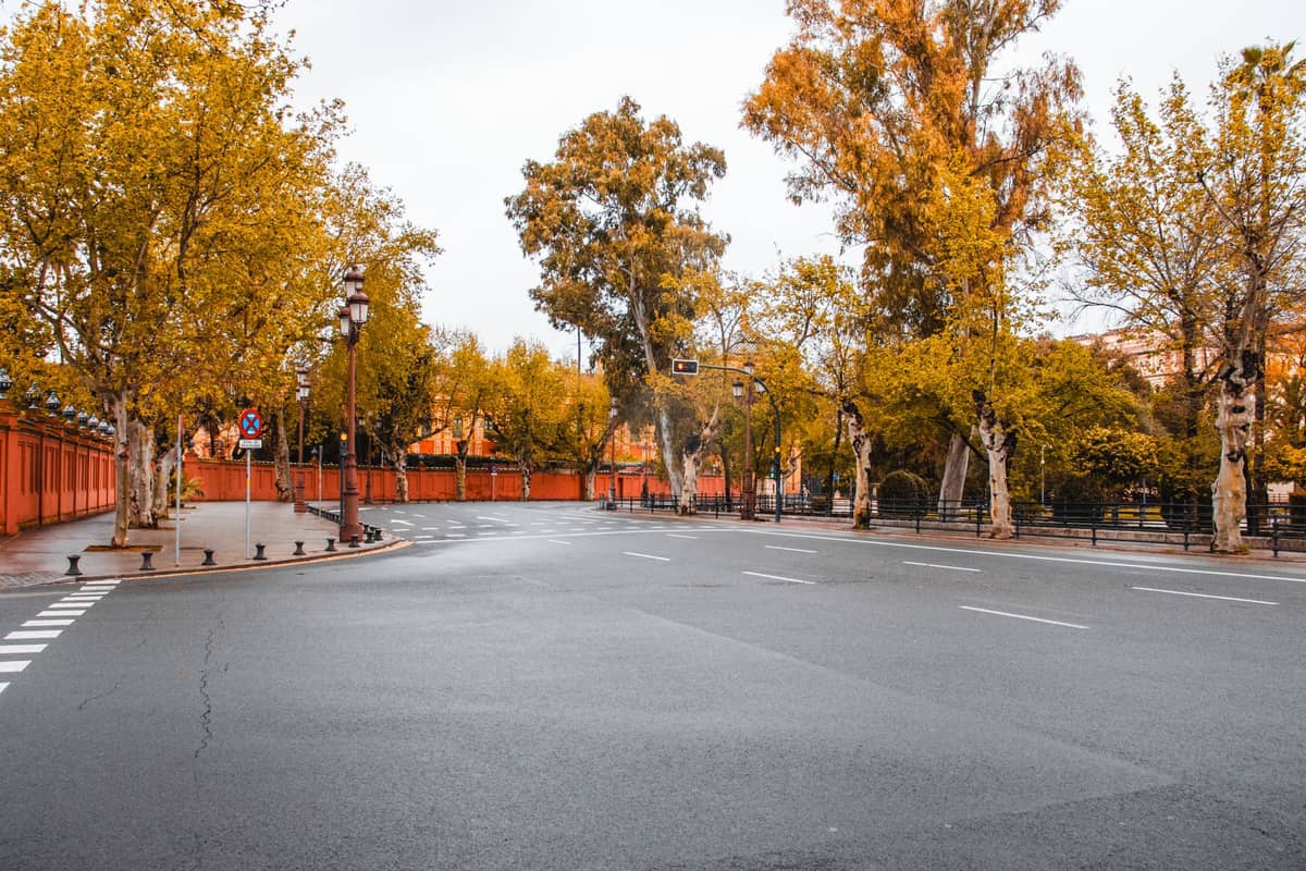 ถนนเงียบสงบเรียงรายด้วยต้นไม้ที่ว่างเปล่าใน Seville พื้นถนนเปียกและกำแพงสีส้มในวันฤดูหนาวที่มีเมฆมาก