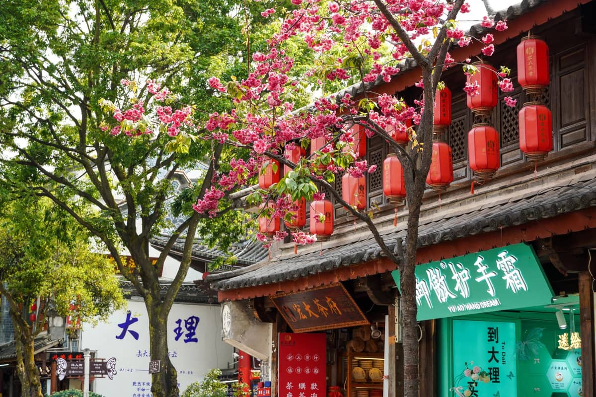 Traditionelle Straßenszene in Shanghai mit Frühlingsblüten und roten Laternen, die an Gebäuden, Geschäften und Grünpflanzen hängen.