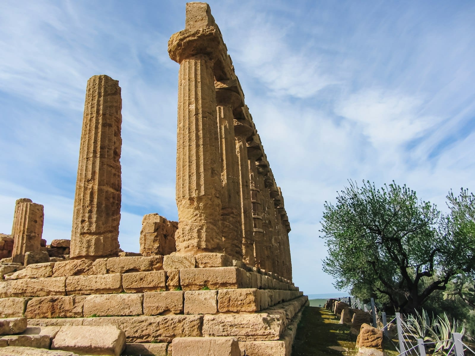 Ruinen eines antiken griechischen Tempels in Agrigento, Sizilien, umgeben von frühlingsgrüner Vegetation und einem Olivenbaum unter blauem Himmel.