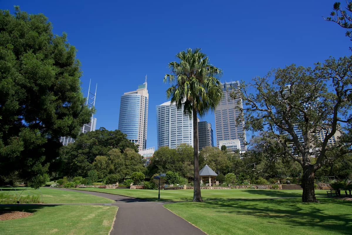 Horizonte de la ciudad de Sydney visto detrás de un exuberante parque verde con palmeras y cielo azul despejado, sugiriendo un suave clima otoñal.