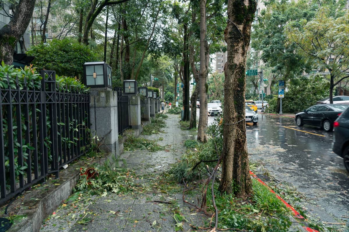 Bürgersteig in Taipei nach einem Sturm mit verstreuten abgebrochenen Ästen und Blättern, nassem Pflaster und Autos auf der Straße.