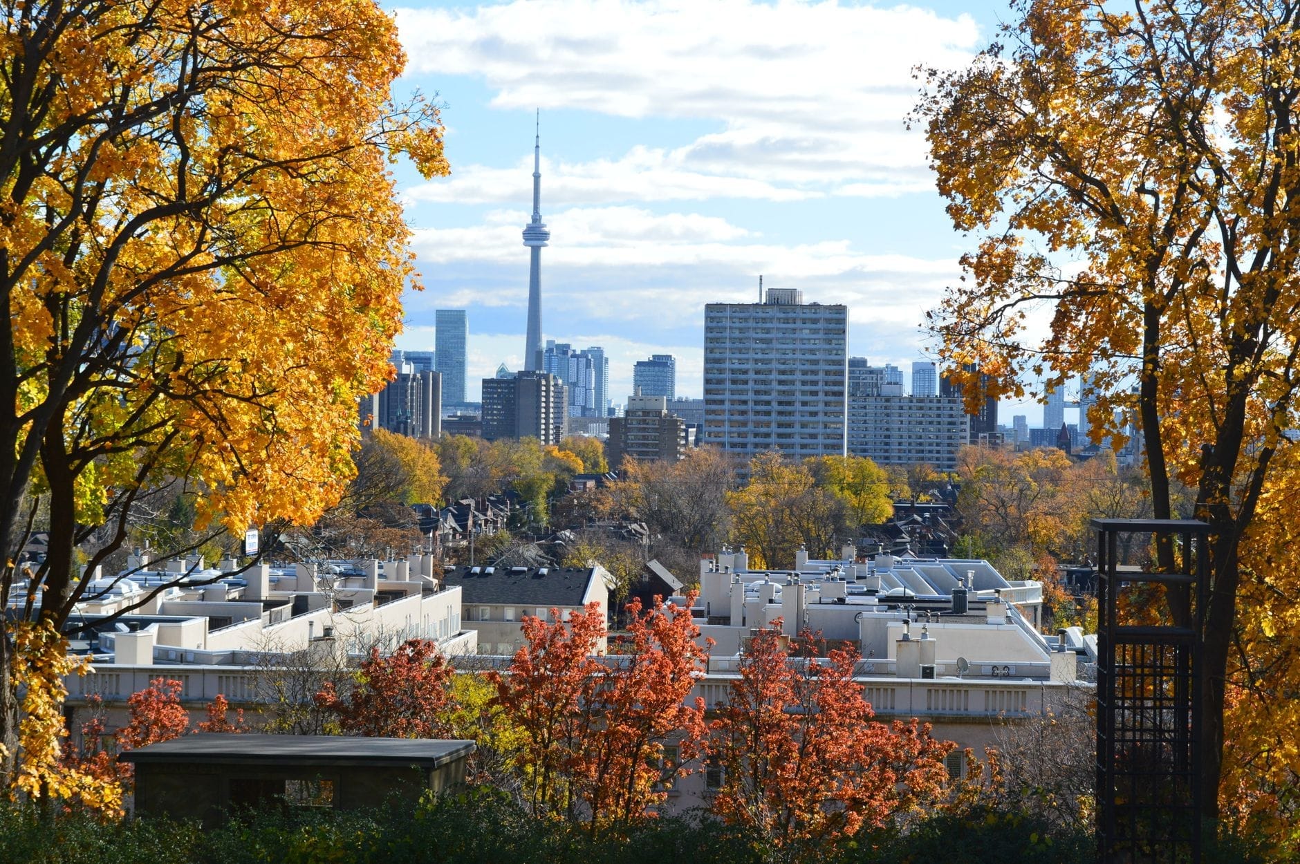 Horizonte de Toronto com a CN Tower, emoldurado por uma folhagem outonal vibrante nas árvores da cidade sob um céu azul.