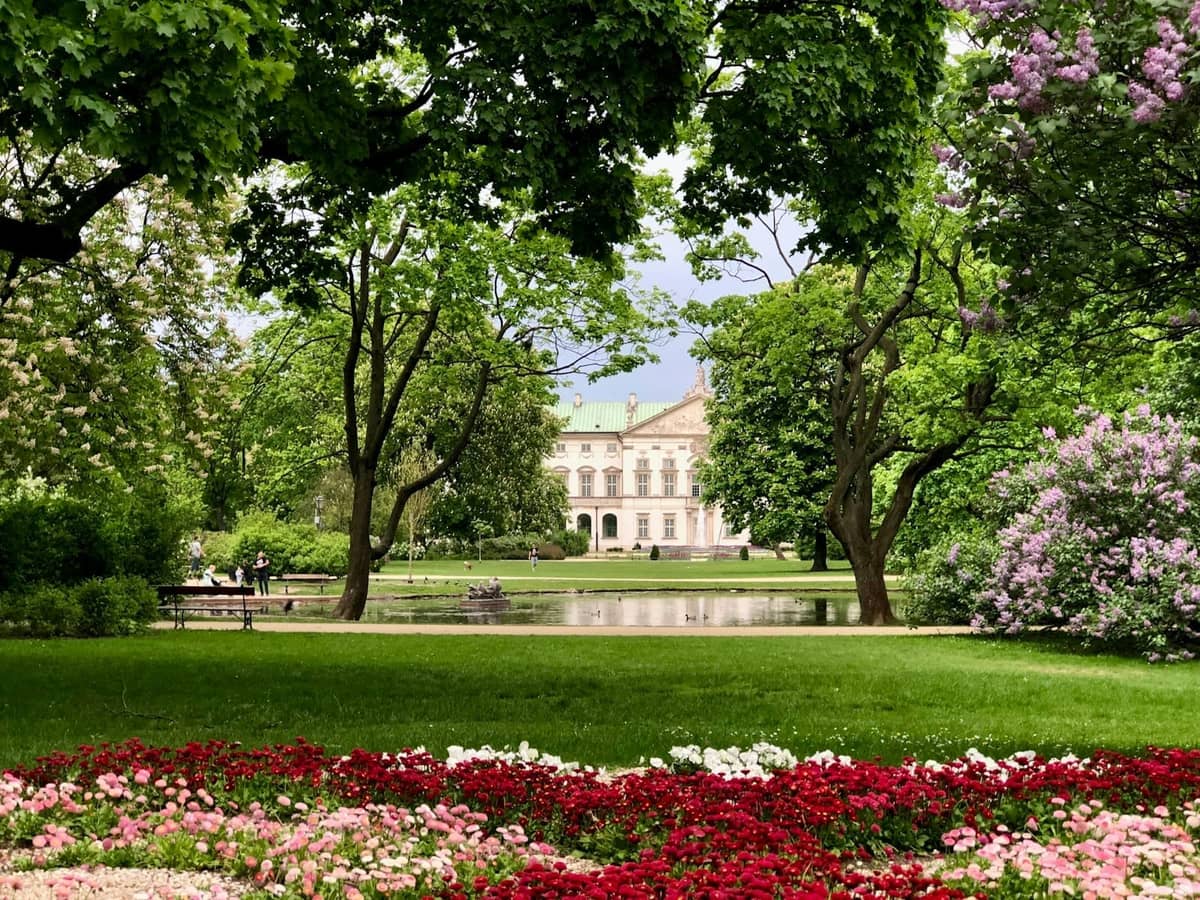 Kwitnące kwiaty i bujne zielone drzewa w zagospodarowanym parku z historycznym pałacem warszawskim w tle, jasna wiosenna atmosfera.