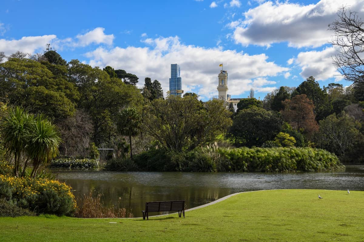 City skyline and historic buildings rising above lush green gardens and a small pond with a bench in the Adelaide Botanic Garden.