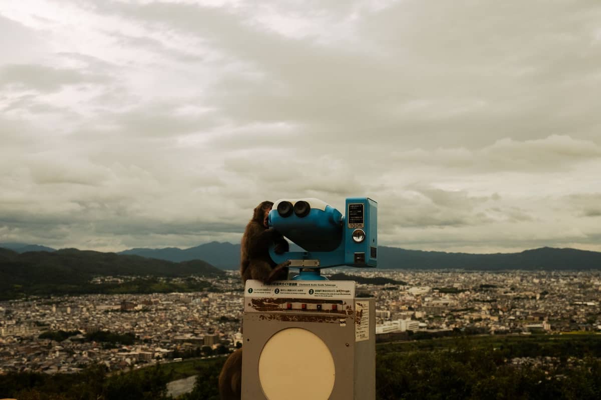 A panoramic view over Kyoto from a hilltop with a monkey looking through a public binocular viewer under cloudy skies.