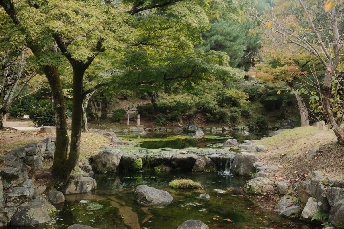 A gently flowing stream with small cascading waterfalls, surrounded by lush green trees and mossy rocks in a tranquil park setting.