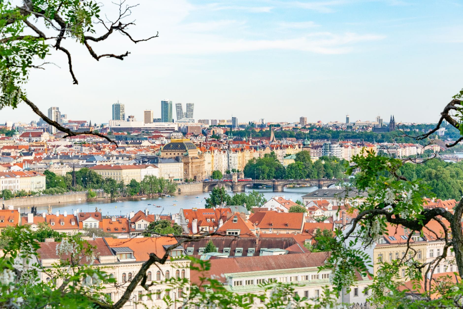 Yapraklı dalların teraslı çatıları, nehri, şehir simgelerini ve bahçeleri çerçevelediği Prague'ın yüksekten görünümü, açık bir günde.