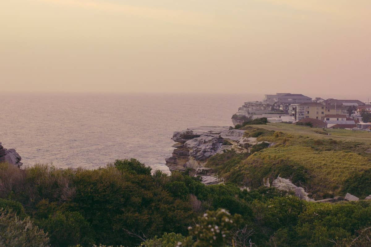 Sydney coastline with grassy clifftops and homes overlooking the ocean at sunset, capturing dramatic headlands and expansive sea views.