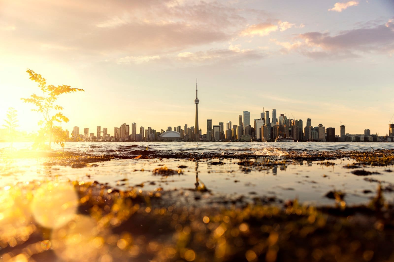 Horizonte de Toronto ao pôr do sol visto da orla marítima, com reflexos na água, a CN Tower e vegetação em primeiro plano sob uma luz quente do entardecer.