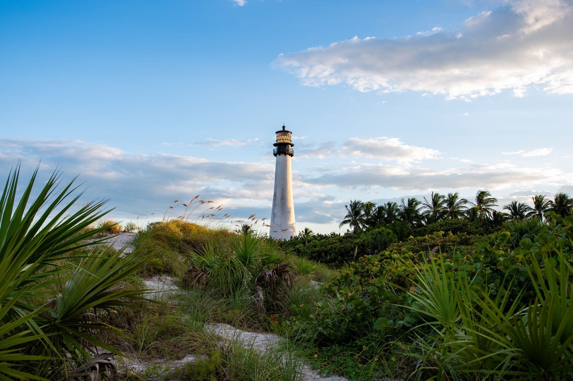 Lo storico faro bianco di Cape Florida svetta sopra dune verdeggianti e palme sotto un cielo azzurro con qualche nuvola sparsa.