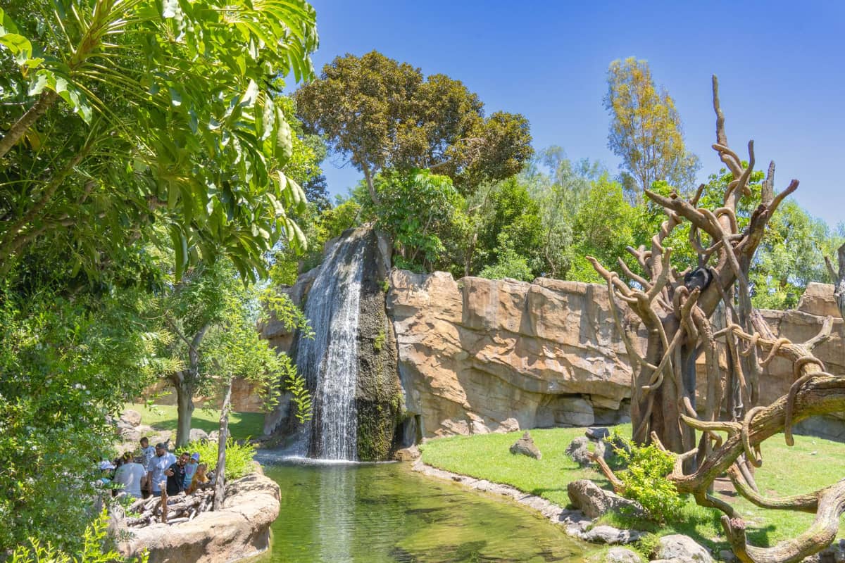 Vista panoramica del Bioparc Valencia con un paesaggio rigoglioso, una cascata, rocce scenografiche e visitatori che osservano l'habitat immersivo dello zoo.