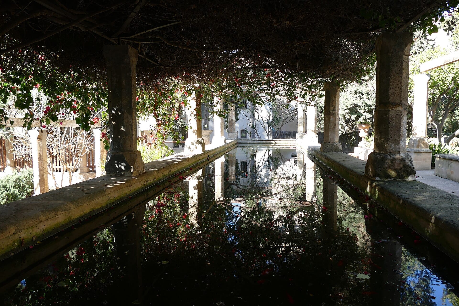 Vasca ornamentale centrale ombreggiata da viti e colonne di pietra nel Jardí del Bisbe dietro la Cattedrale di Palma in una giornata di sole.