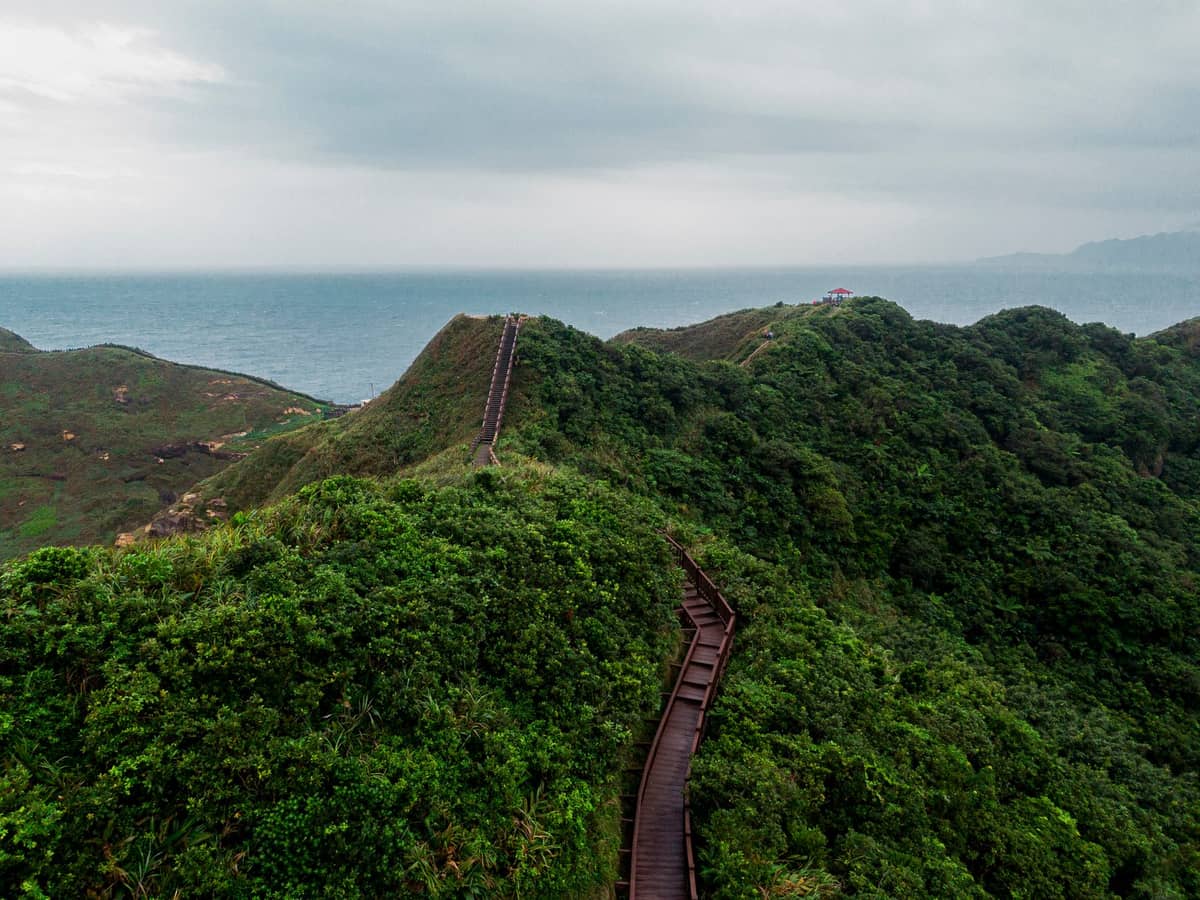 Luftaufnahme des Bitou Cape Trails mit einem Holzsteg, der sich über grüne Küstenkämme schlängelt – dahinter ein dramatisches Meer unter bewölktem Himmel.