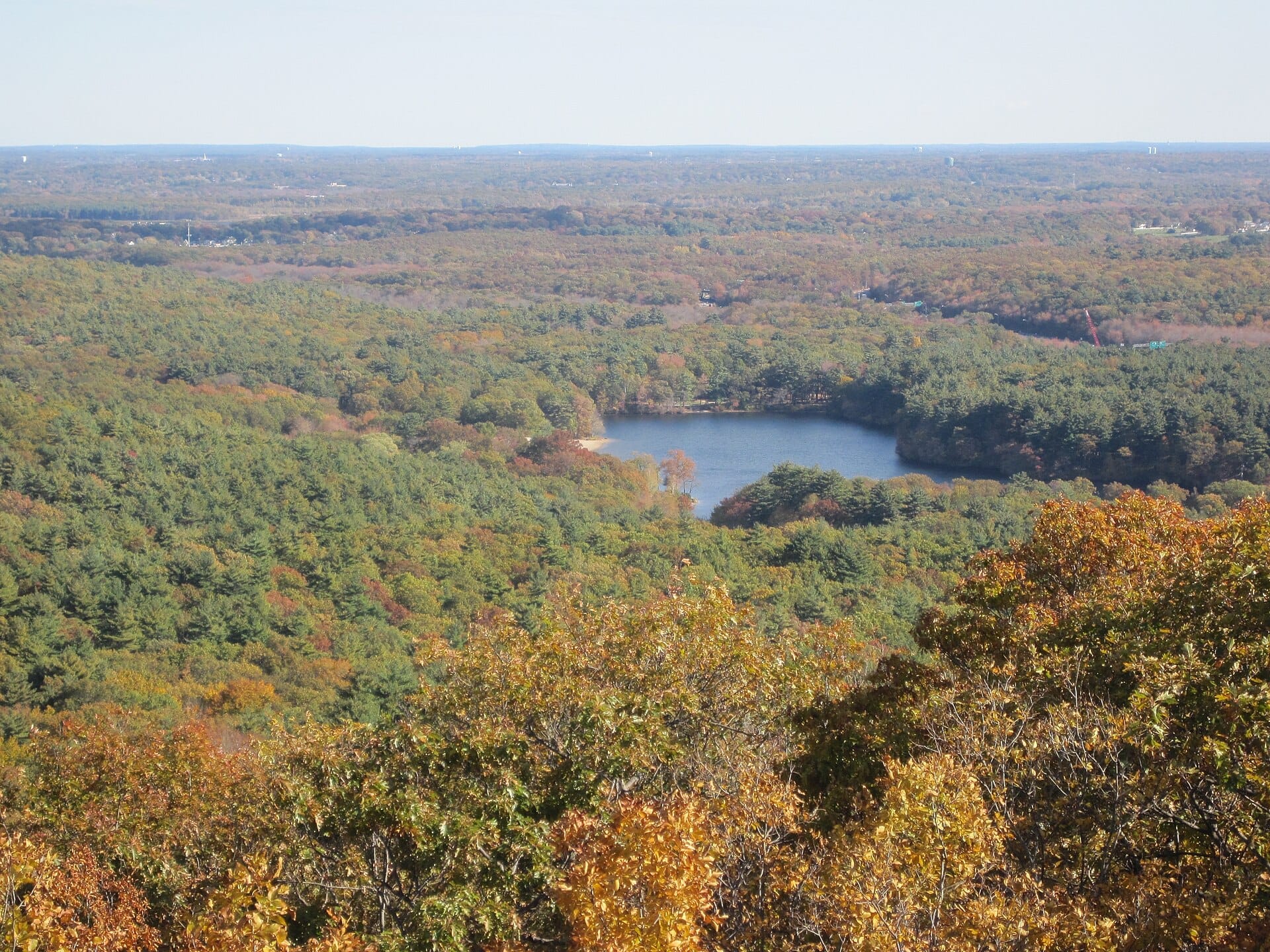 Vista ampia della Blue Hills Reservation con fitti boschi autunnali e uno stagno scintillante sotto un cielo sereno, vista dall'Eliot Tower.