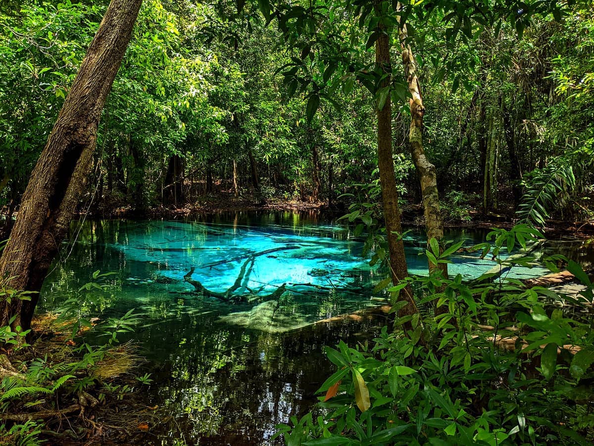 Leuchtend türkisfarbene Gewässer des Blue Pool (Sa Nam Phet), umgeben von üppigem grünen Wald im Distrikt Khlong Thom in Krabi bei natürlichem Tageslicht.
