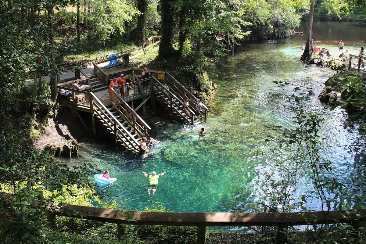 Besucher schwimmen und entspannen sich im klaren türkisfarbenen Wasser des Blue Spring State Park, umgeben von üppigen Bäumen und hölzernen Aussichtsdecks.