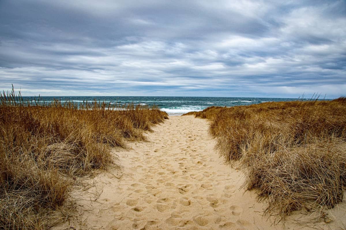 Sandiger Strandpfad, gesäumt von trockenen Dünengräsern, der unter einem dramatischen Himmel am North Shore zum Ozean führt.