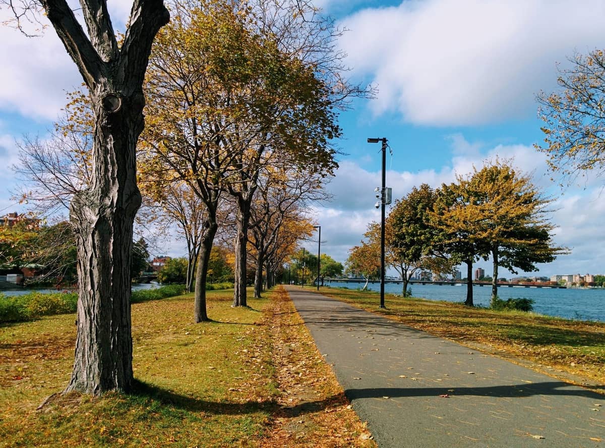 Uferweg in Boston, gesäumt von Bäumen in frühen Herbstfarben, teils noch grün, teils schon gelb, unter einem teilweise bewölkten Himmel.