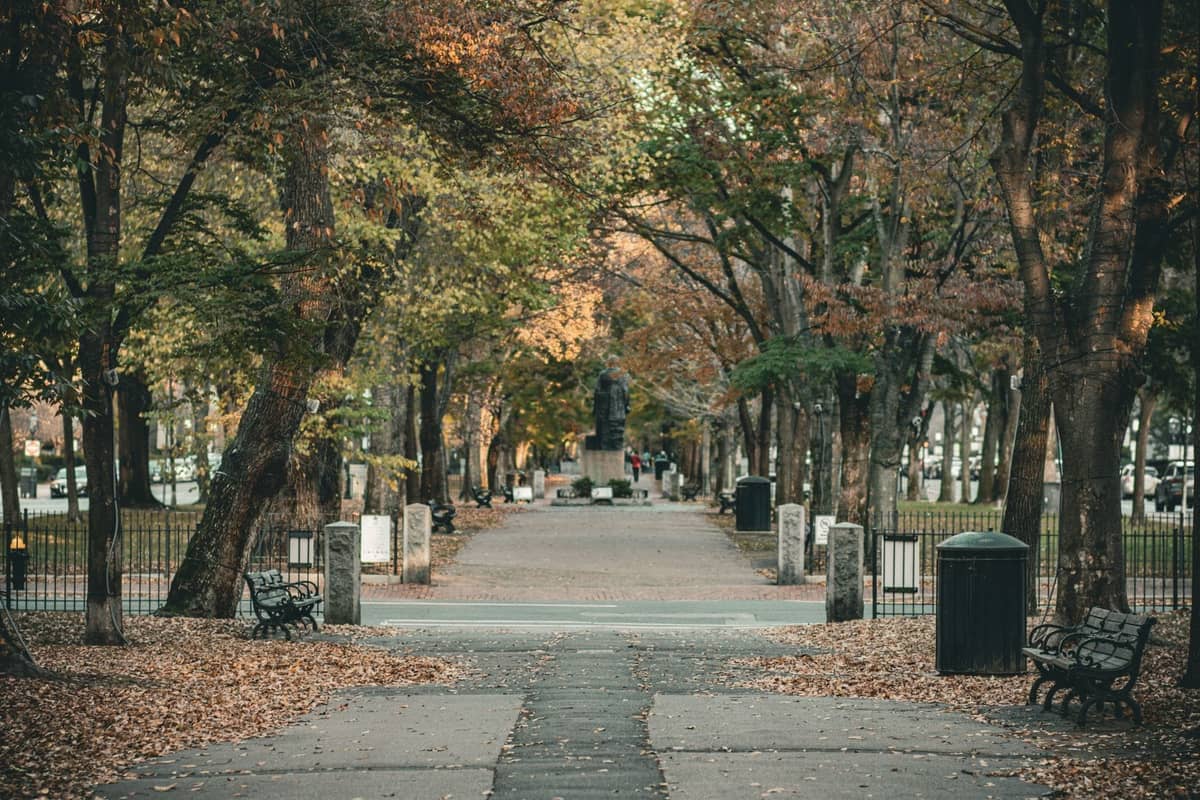Baumgesäumter Weg mit Herbstlaub, Parkbänken und einer sichtbaren Statue in Boston im Herbst.