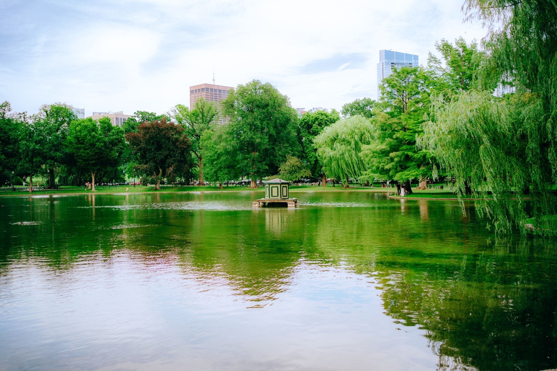 Jardim Público de Boston com árvores verdes exuberantes, um lago tranquilo e prédios ao fundo em um dia claro e nublado.